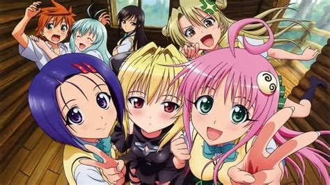 sexiest harem|Top 20 Best Ecchi Harem Anime Series List – Animegrill.